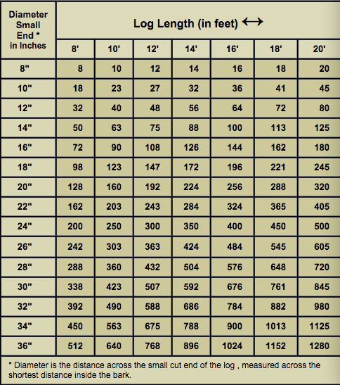 3 in 1 Log Ruler Board Feet Doyle International Scribner Hud-Son Log Scale 