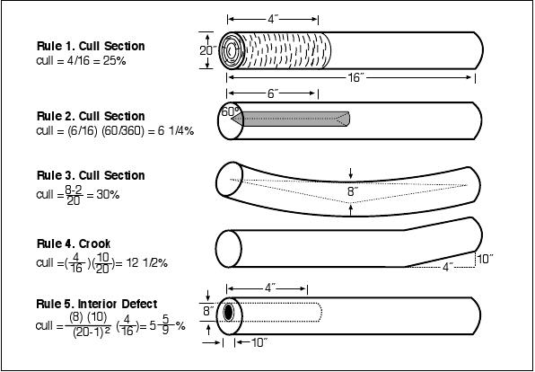 Cedar Log Scale Chart